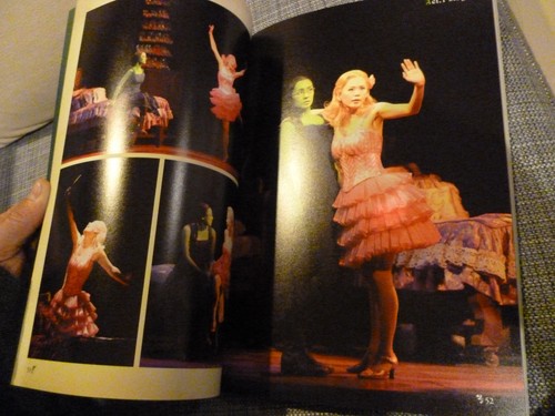 Rare WICKED 2009 OSAKA Japan PROGRAM booklet PRESSBOOK The Wizard of Oz Broadway - Picture 9 of 12