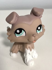 littlest pet shop collie