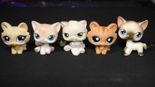 Hasbro Littlest Pet shop Lot of 5 - Rare Various Cats Authentic FREE SHIPPING 