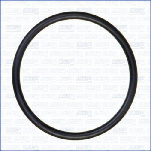 Original Ajusa Gasket Thermostat 16054000