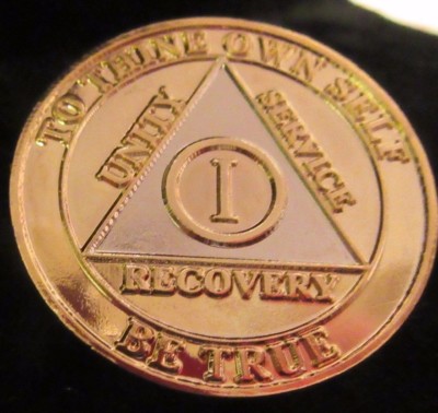 Gold Bi Plate Alcoholics Anonymous 1 Year AA Medallion Coin Chip Silver Sober 