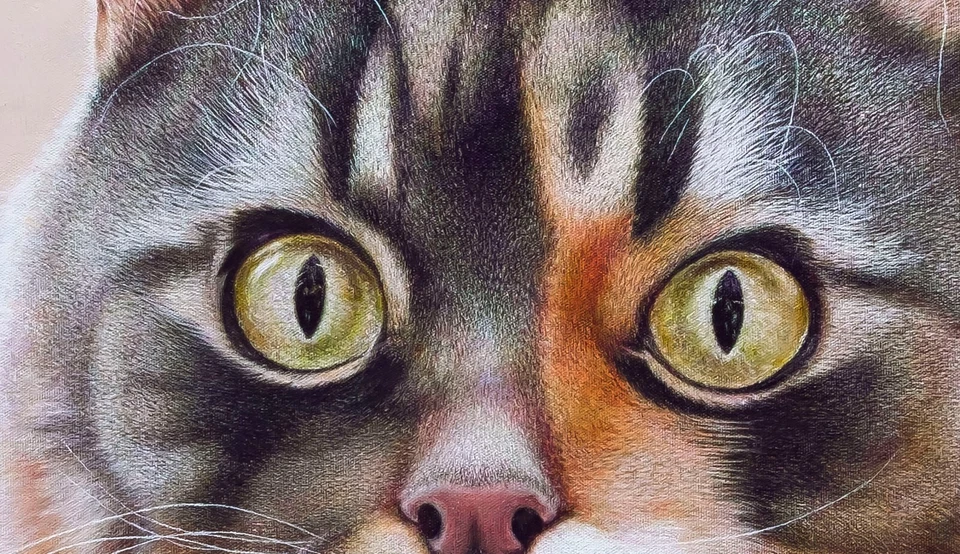 Anastasia Woron: "El Gato.El Basilio." - Óleo Original Firmado (60x60 cm.) 2024 - Imagen 2 de 4