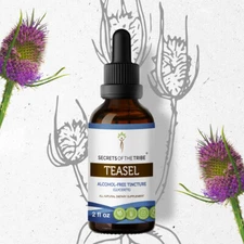 Secrets Of The Tribe Teasel Tincture Alcohol-FREE