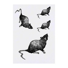 4 x 'Curious Rat' Temporary Tattoos / Transfers TO00014794 