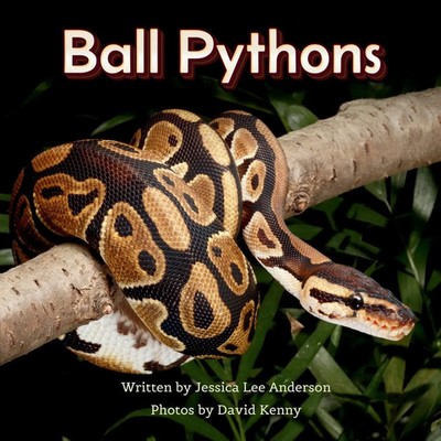 Ball Pythons | Jessica Lee Anderson | Englisch | Taschenbuch | 2025 | AO Press