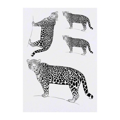 4 x ''Jaguar Stare'' Temporäre Tattoos / Transfers (TO00084974)