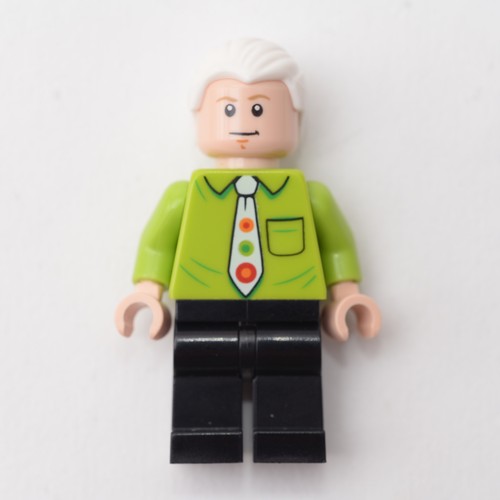 Lego Friends TV Series Minifigures Rachel Monica Phoebe Joey Chandler Ross 21319 - Picture 5 of 9