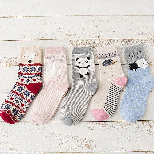 5 pares de calcetines de algodón para mujer, nuevos, de primavera y otoño, con o - Picture 25 of 28