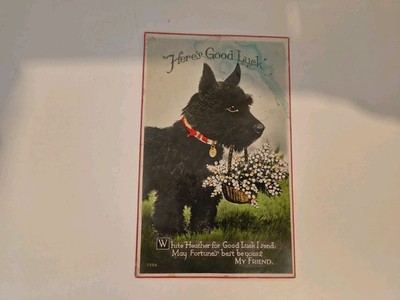 Here's Good Luck Black Dog Carrying Flower Basket Postcard