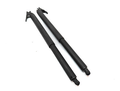 2009 MERCEDES GL320 (X164) REAR TRUNK LIFTGATE HATCH LIFT SHOCK STRUT SET/2