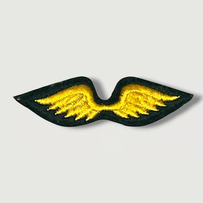 Girl Scouts 1970s Brownies Fly Up Wings Vintage Patch JBX