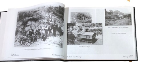 Lee County Virginia A Pictorial History 2005 Norton Press Genealogical Society - Picture 3 of 12