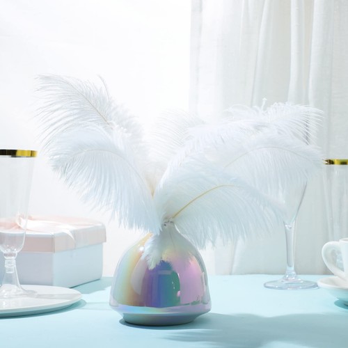 Janinka 20 Pieces Ostrich Feathers 16-18 Inch (40-45 cm) Large Feathers for V... - Picture 5 of 7