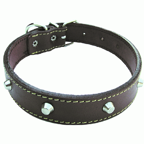 Guêtres fermées pour cheval en cuir verni BR Equitation Majestic BR