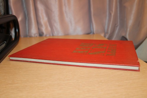 HAPPY SUN DAY Karl De Haan TRUE First Edition 1969 Sue Female Nudes Hardcover - Foto 4 di 12
