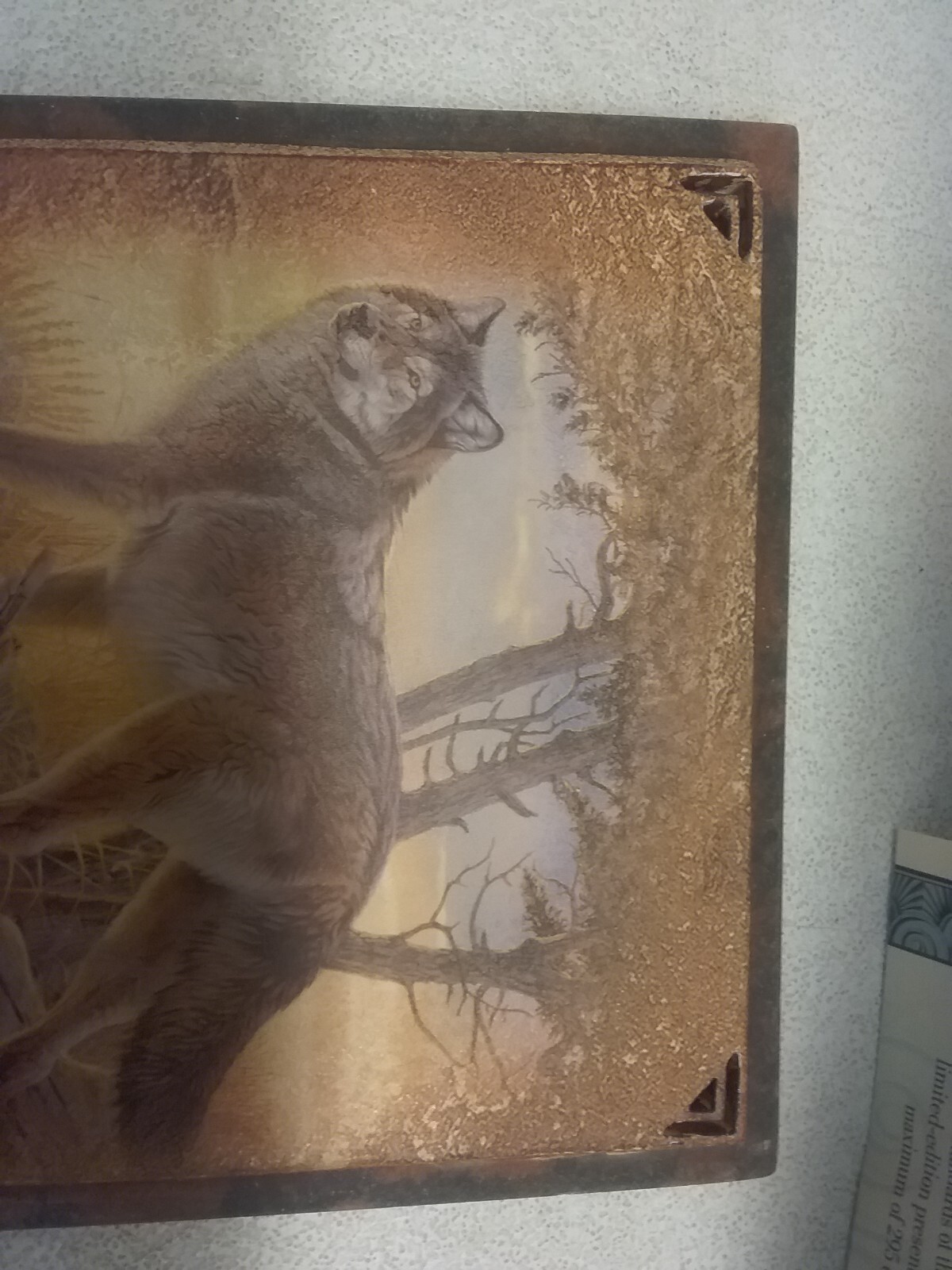 Picture 3 of 23