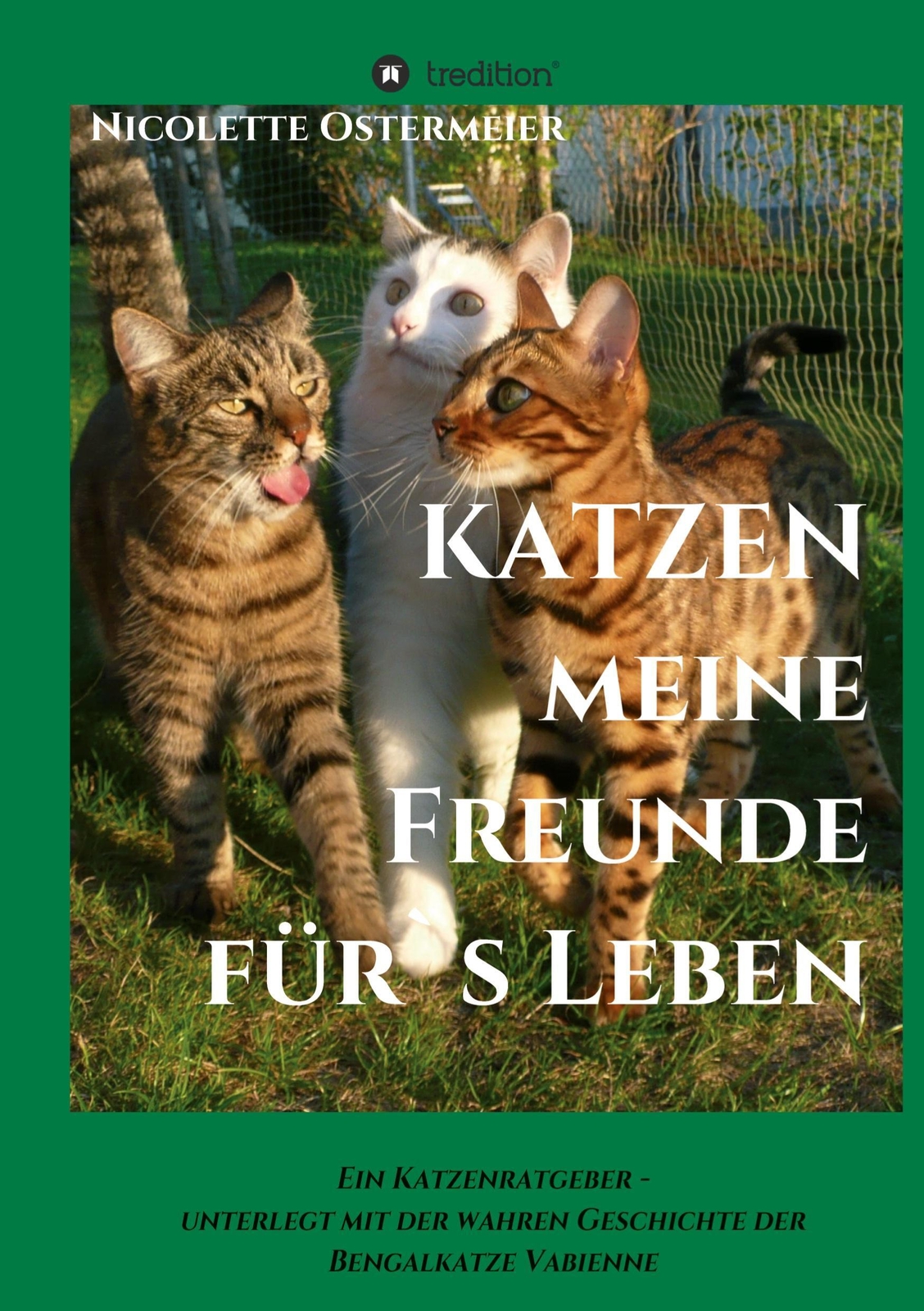Nicolette Ostermeier | Katzen - Meine Freunde Für's Leben | Buch |