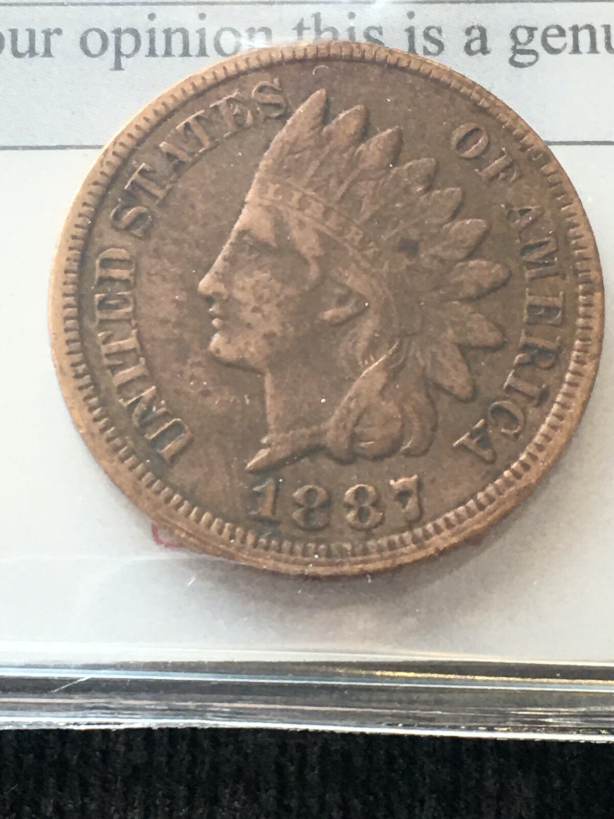 Picture 4 of 9
