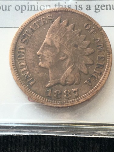 1887 USA, Small One Cent, Indian Head; Cleaned - Picture 4 of 9