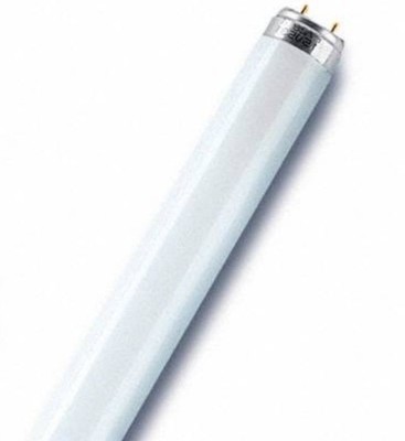 Philips 88852525 Leuchtstofflampe Master TL-D 90 Graphica 18W 965 1SL/10