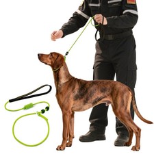   Dog Leash Slip Lead Dog Training Leash,Trainer Rope Designed for DogTrainin...