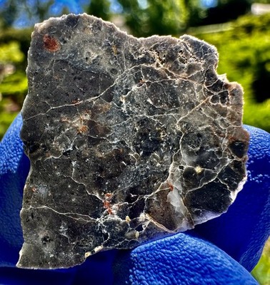 Meteorite: Touat Lunar Melt Breccia- Weight  8.643 Grams 