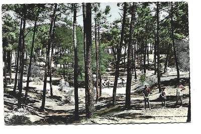 85 SAINT JEAN DE MONTS LA FORET