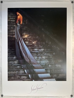 Silver Shadow by Barry Ryan- New/Old Stock Vintage Poster Print, Athena 1990