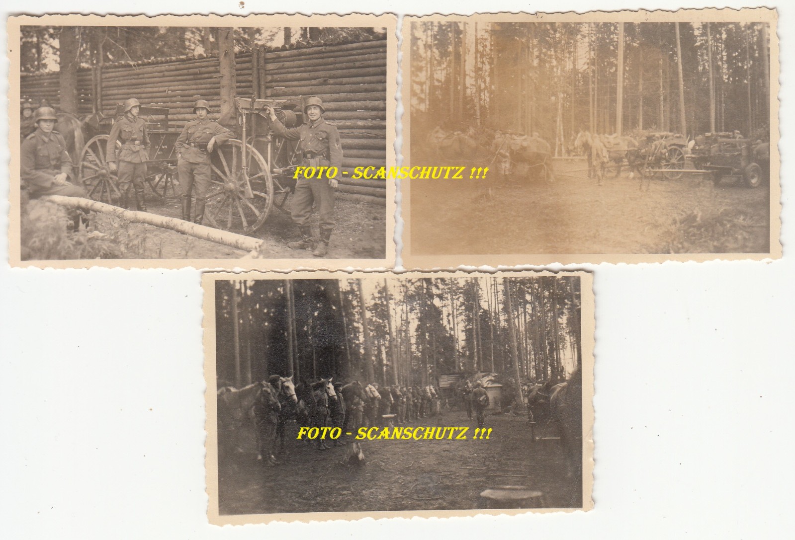 Foto 1 di 1