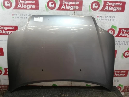 Capo para CHEVROLET KALOS 1.2 SE 2007 459839