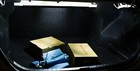 Bild 12 von 12