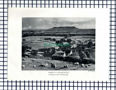 Askrigg Wensleydale Yorkshire / Nidderdale Pateley Brücke - um 1948 Steckling