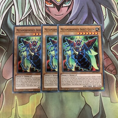 LDS1-DE072 x3 Metamorphosed Insektenkönigin Common Top Zustand Yugioh