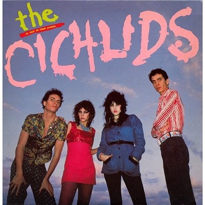 The Cichlids    Be True To Your School - US Original 1980 LP 33T - PUNK - NM
