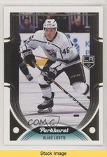 2020-21 Upper Deck Parkhurst Gold Foil Blake Lizotte #163 READ fn5