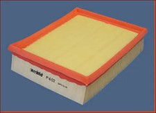 Filtre à air Renault AVANTIME