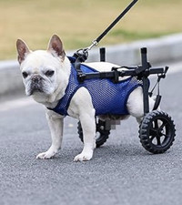Small Dog Wheelchair Rear Legs Adjustable 5.5" Wheels Mobility Cart Black S