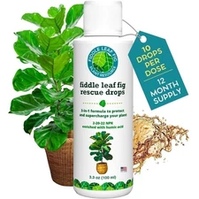 Fiddle Leaf Fig Rescue Drops – 3-in-1 Fertilizer, Root & Immunity Boost (100ml)