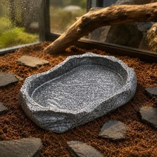 Terrarium Rock Bowl Naturalistic Rock Dish Layered Surface