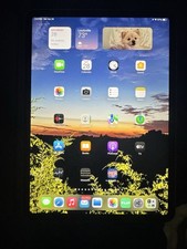 Ipad Pro Fourth Generation 256 Gb Memory