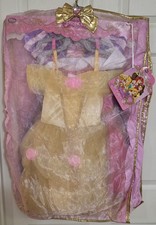 Disney Store Sz 7/8 Enchanting Princess Wardrobe Set 5 Gowns Capelet Garment Bag