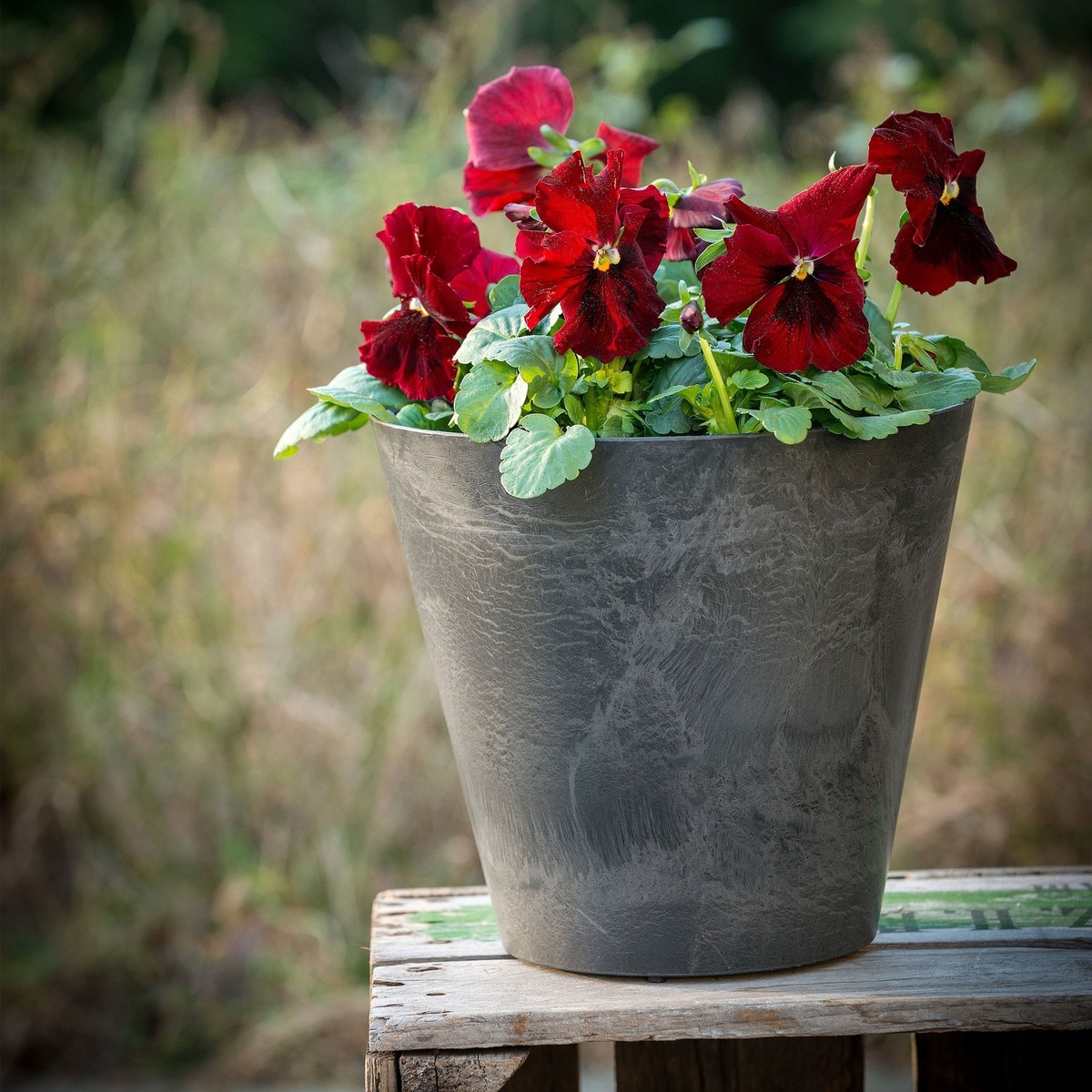 blumenkasten stecker rost LB H&F Lilienburg 2er Eichhrnchen Set Roststecker Gartenstecker Rostf   www.LILIENBURG.de