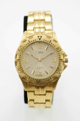 Colibri Men Watch Stainless Steel Gold Water Resistant Battery Champagne Quartz