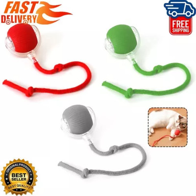Automatic Rolling Ball Smart Cat Dog Toy Electric Pet Self-moving Kitten Game US