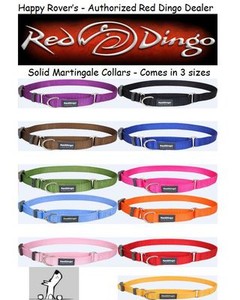 red dingo martingale collar