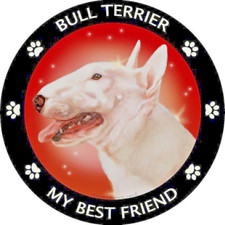 Limited Ed. BULL TERRIER PET DOG ANIMAL Pendant 925 Sterling Silver 20" Chain