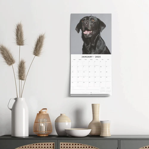 Black Labradors 2025 Square Wall Calendar