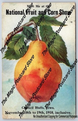Giant Pear ~ National Fruit & Corn Show COUNCIL BLUFFS Iowa Antique 1910