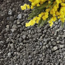 Black Lava Rock | Volcanic Drainage Rock for Succulents, Bonsai & Terrariums