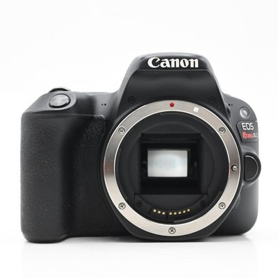 Canon EOS Rebel SL2 24.2MP Digital SLR Camera Body, Inoperable #387